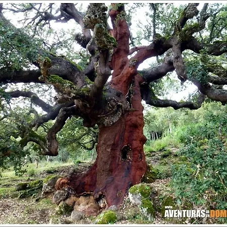 Casa Divina Lago de Carucedo